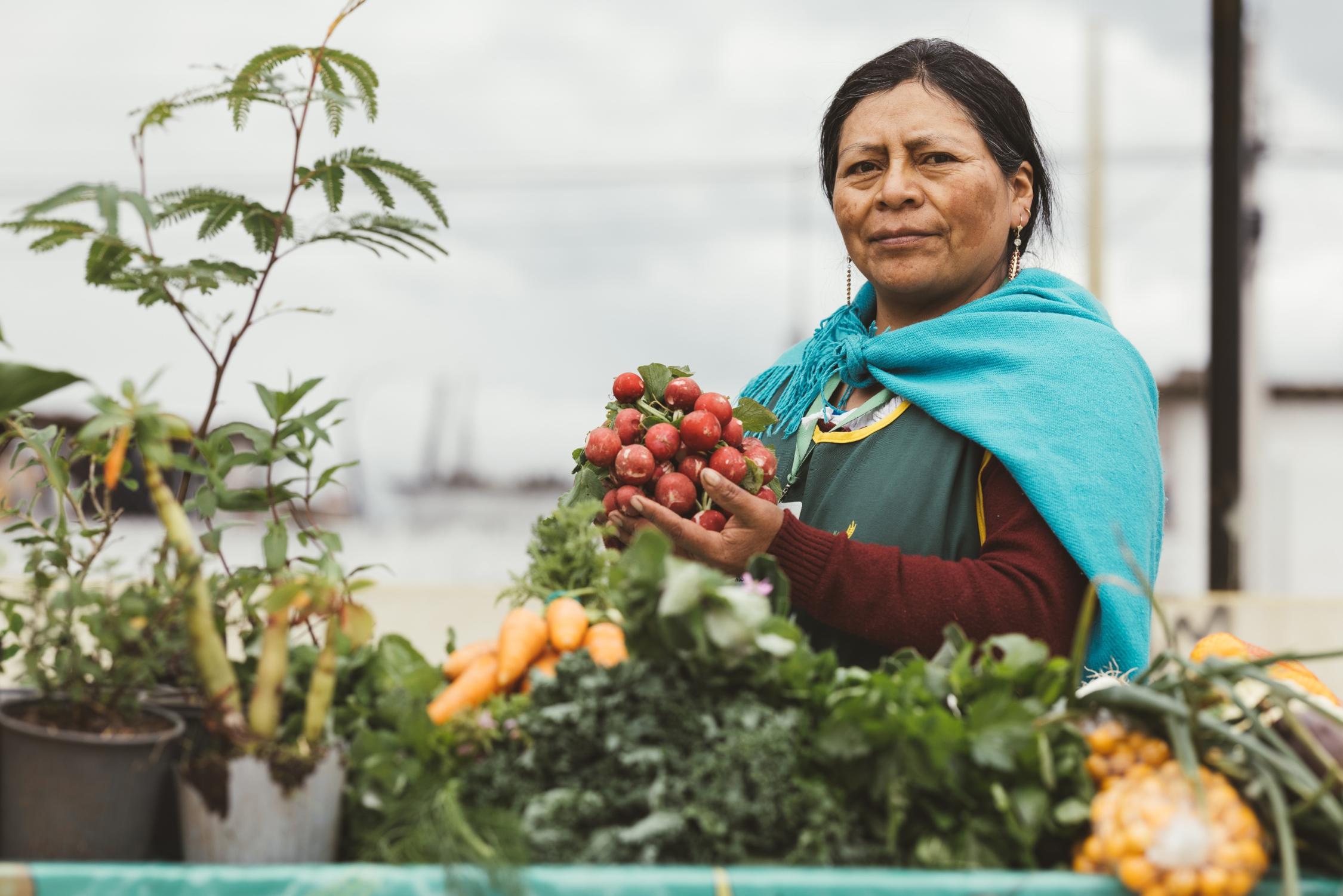 Vorsitzende von Biovida in Cayambe Ecuador hält frisch geerntete Radieschen in den Händen